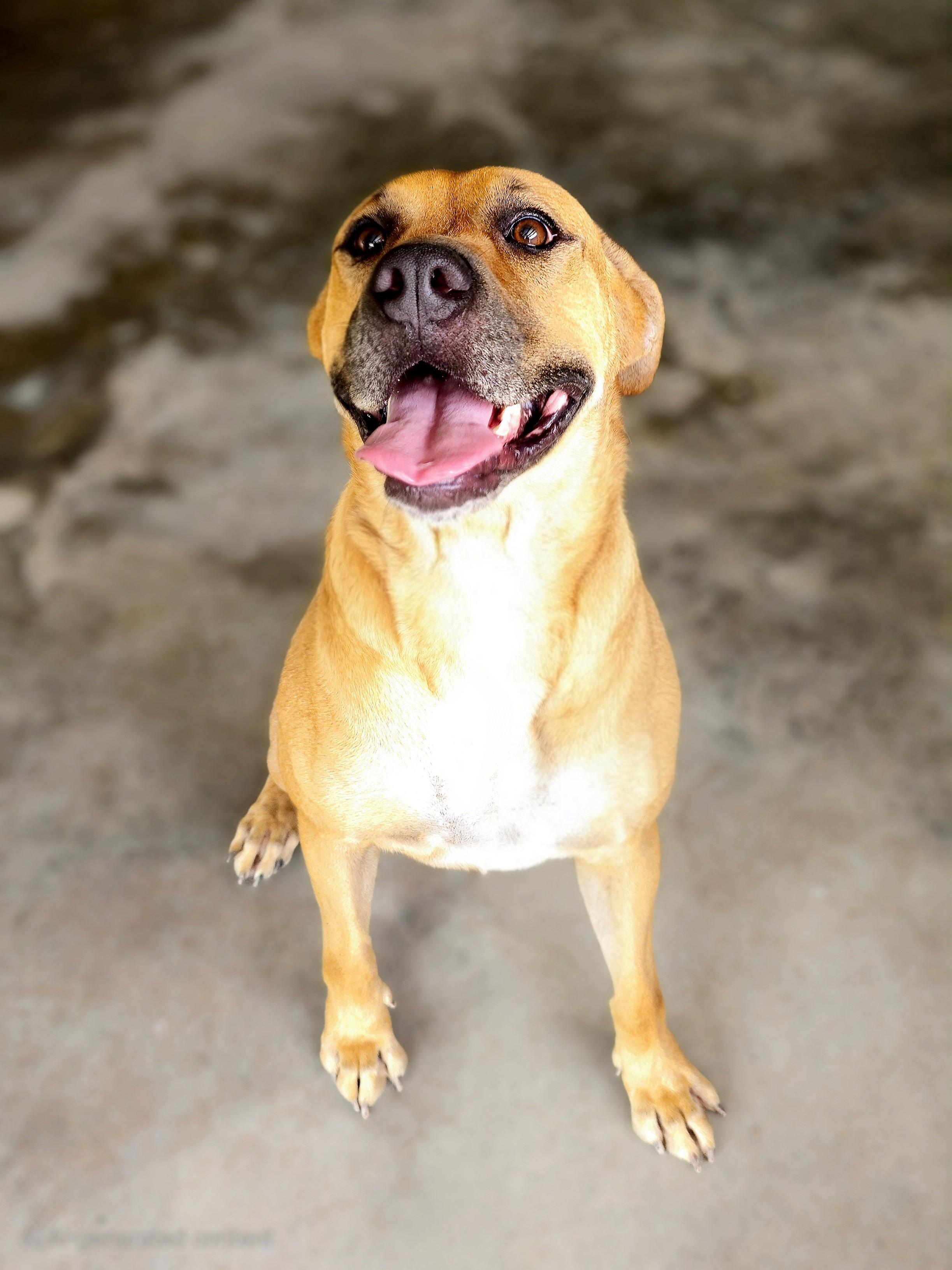 Jada Beautiful Little Masked Girlie Girl Speak to her Foster!