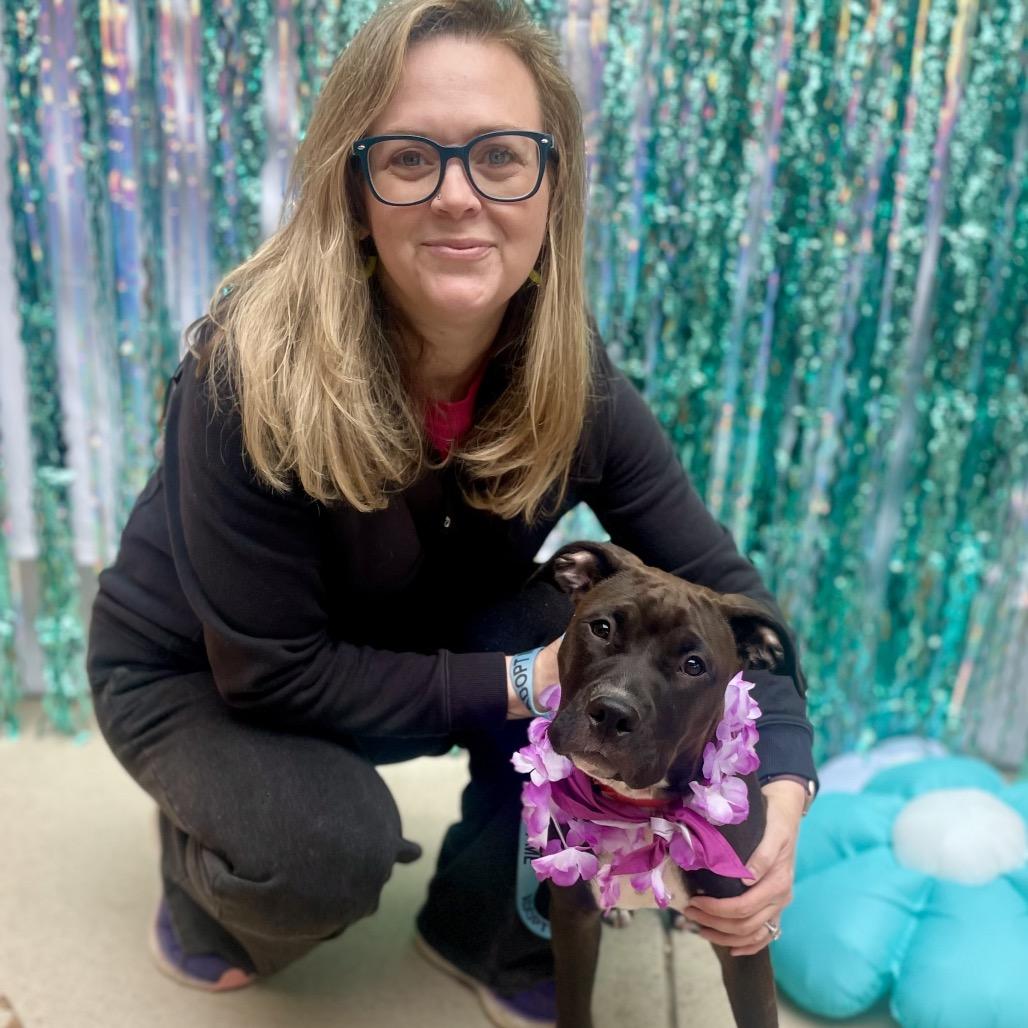 Cricket, a Adoptable mixed breed in Fayetteville, GA image 6/6