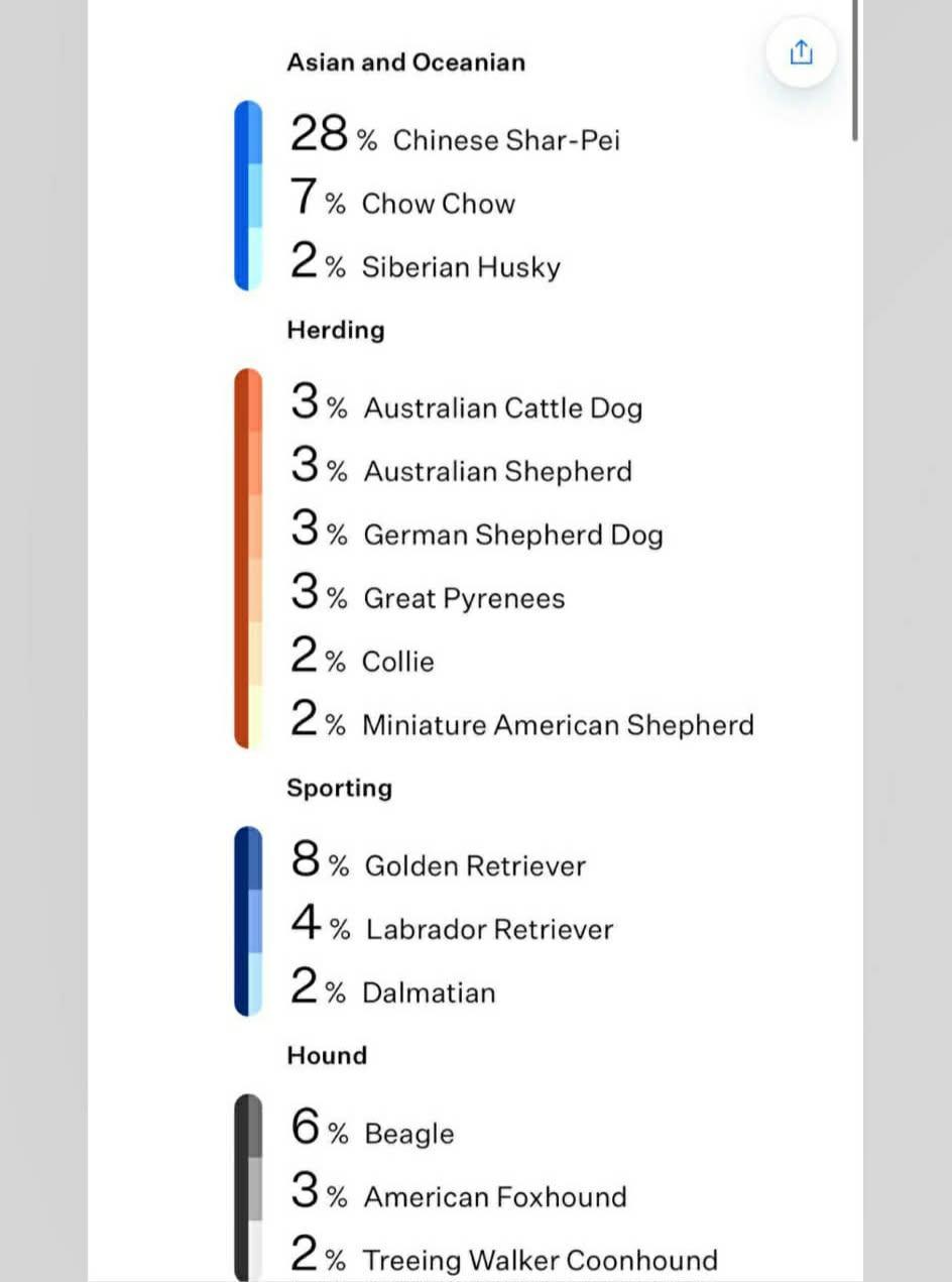 Enlarge Moose, a Adoptable mixed breed in Fort Thomas, KY image 3/3