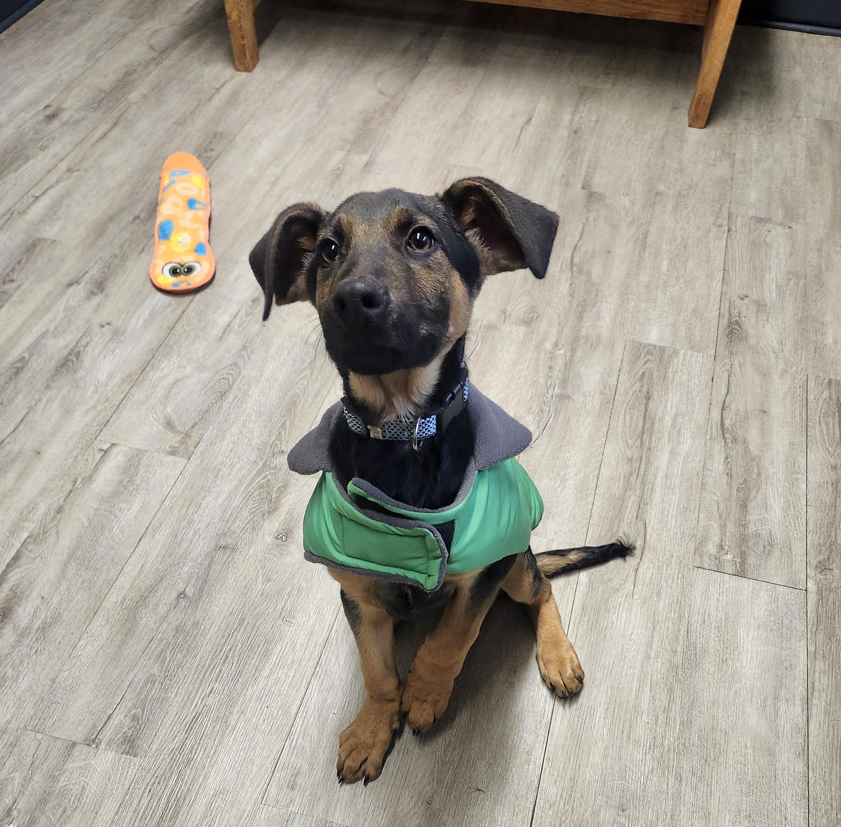 Breadsticks thumbnail 4