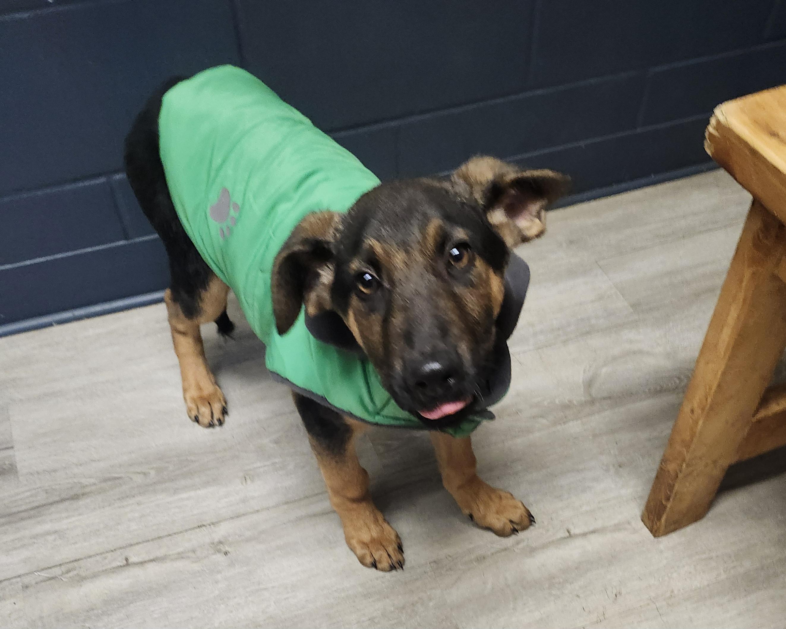 Breadsticks thumbnail 5