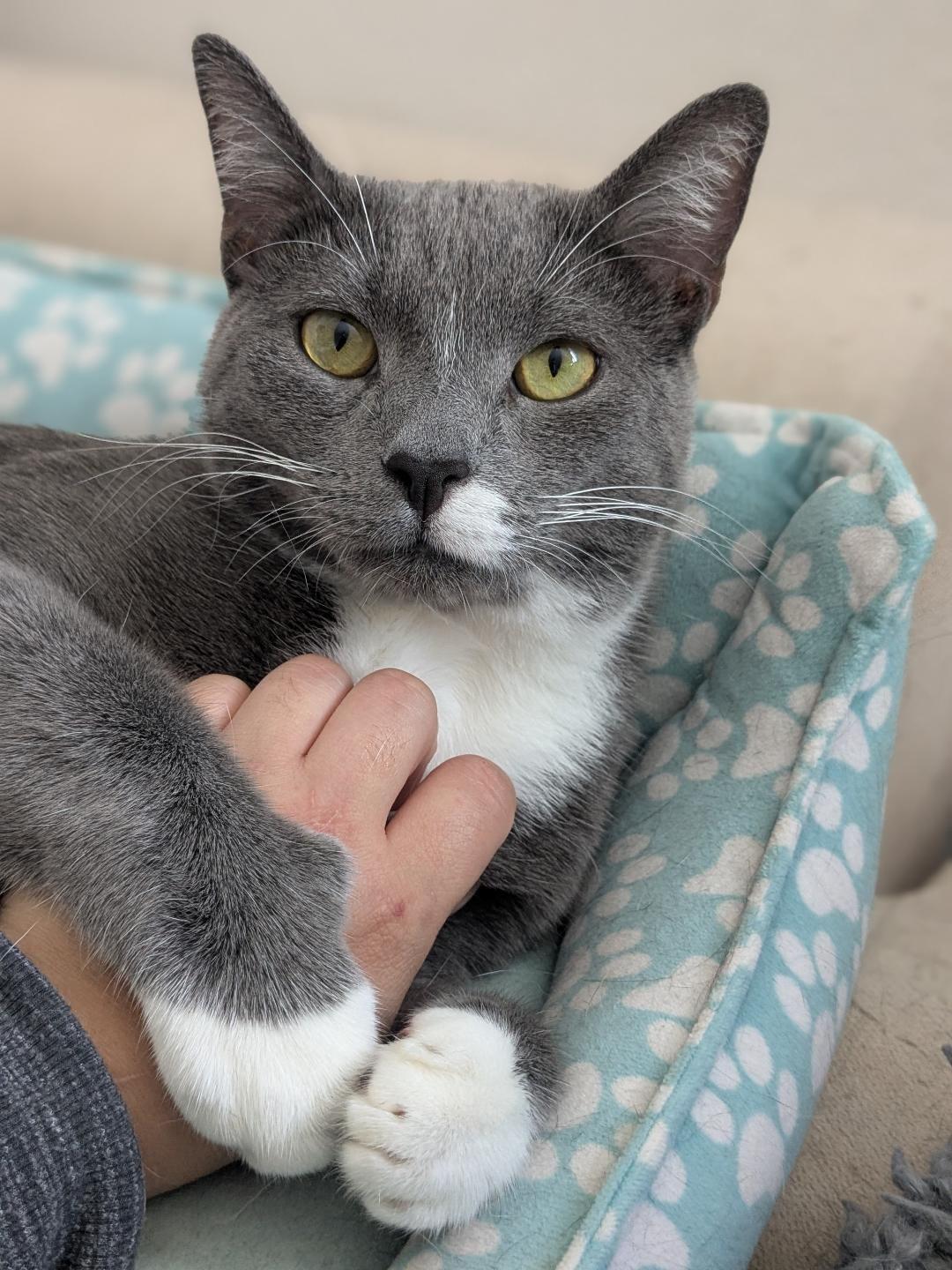 Tupac — thumbnail 2