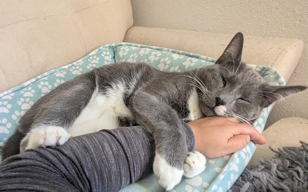 Tupac — thumbnail 4