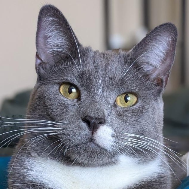 Tupac — thumbnail 5