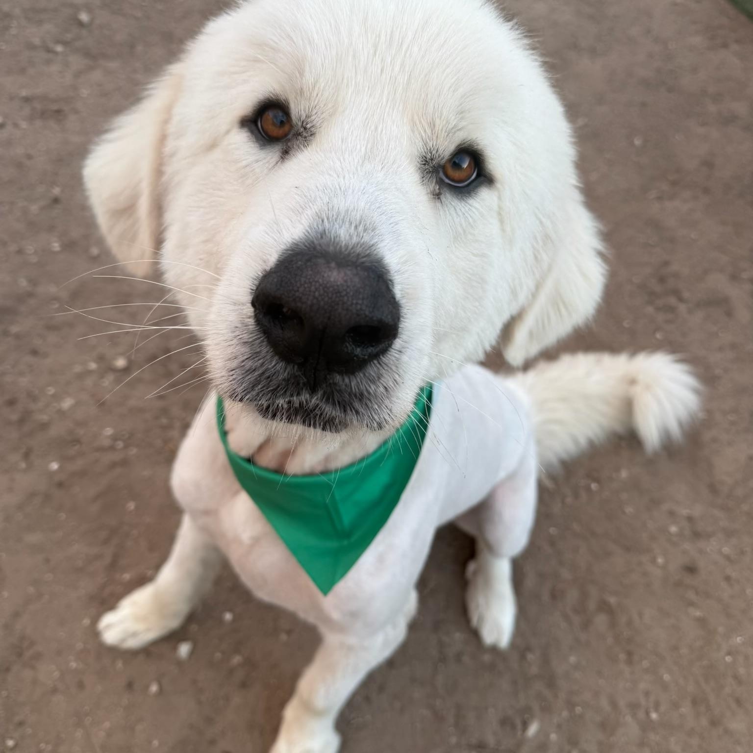 Bruce — thumbnail 4