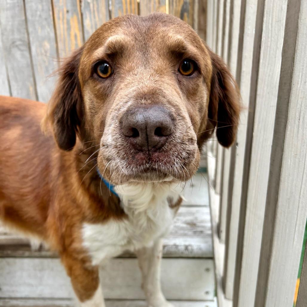 Stella Sassafras thumbnail 3