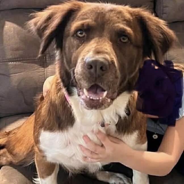 Stella Sassafras thumbnail 4