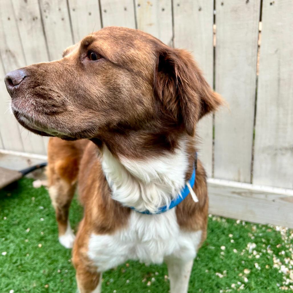 Stella Sassafras thumbnail 5