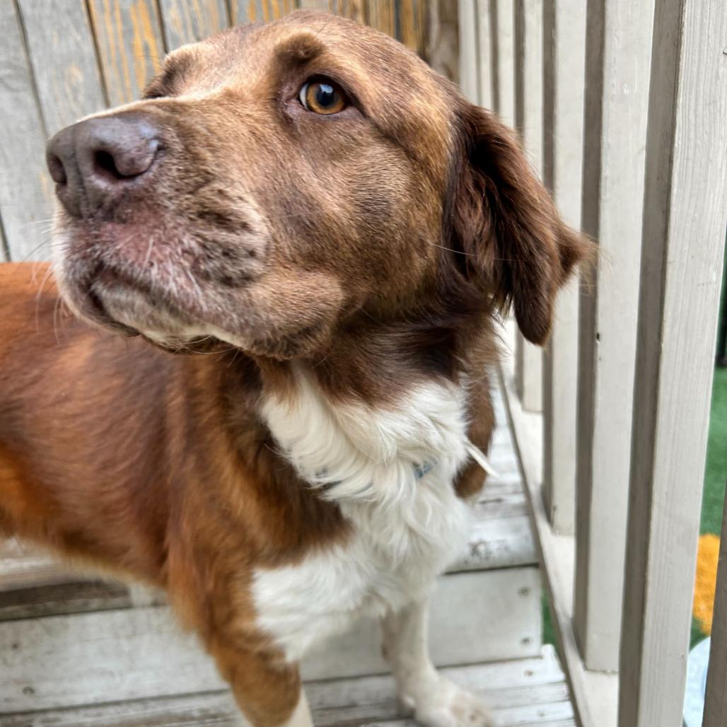 Stella Sassafras thumbnail 6