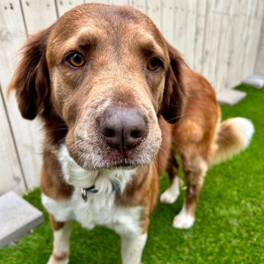 Stella Sassafras thumbnail 7