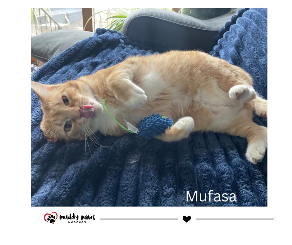 Mufasa — thumbnail 3