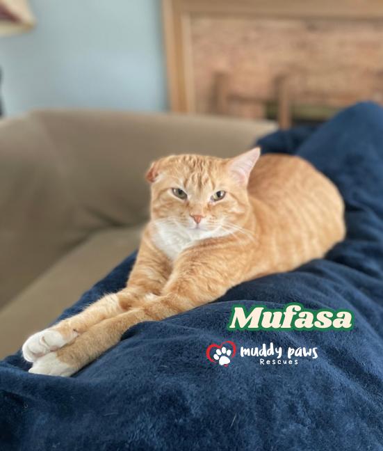 Mufasa — thumbnail 4