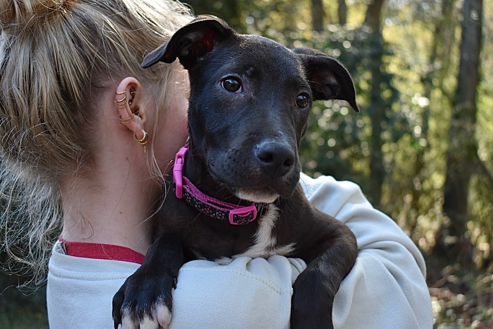 Blossom, a Adoptable mixed breed in Milledgeville, GA image 1/5