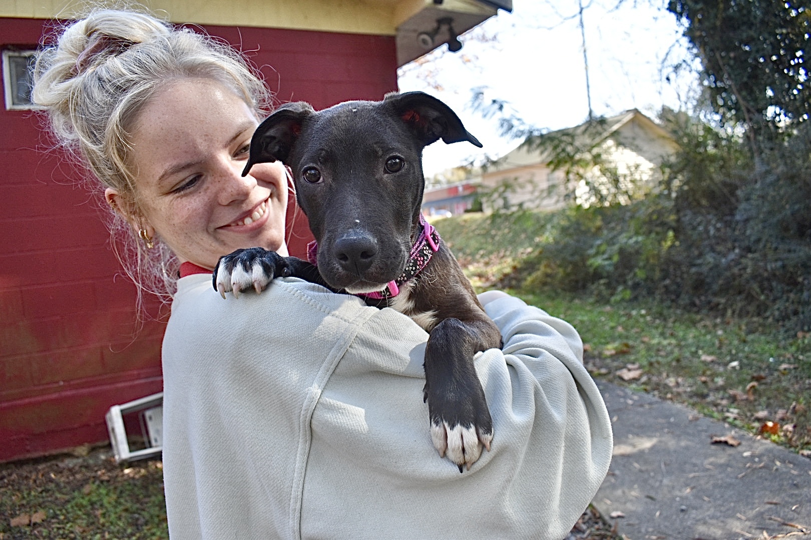 Blossom, a Adoptable mixed breed in Milledgeville, GA image 4/5