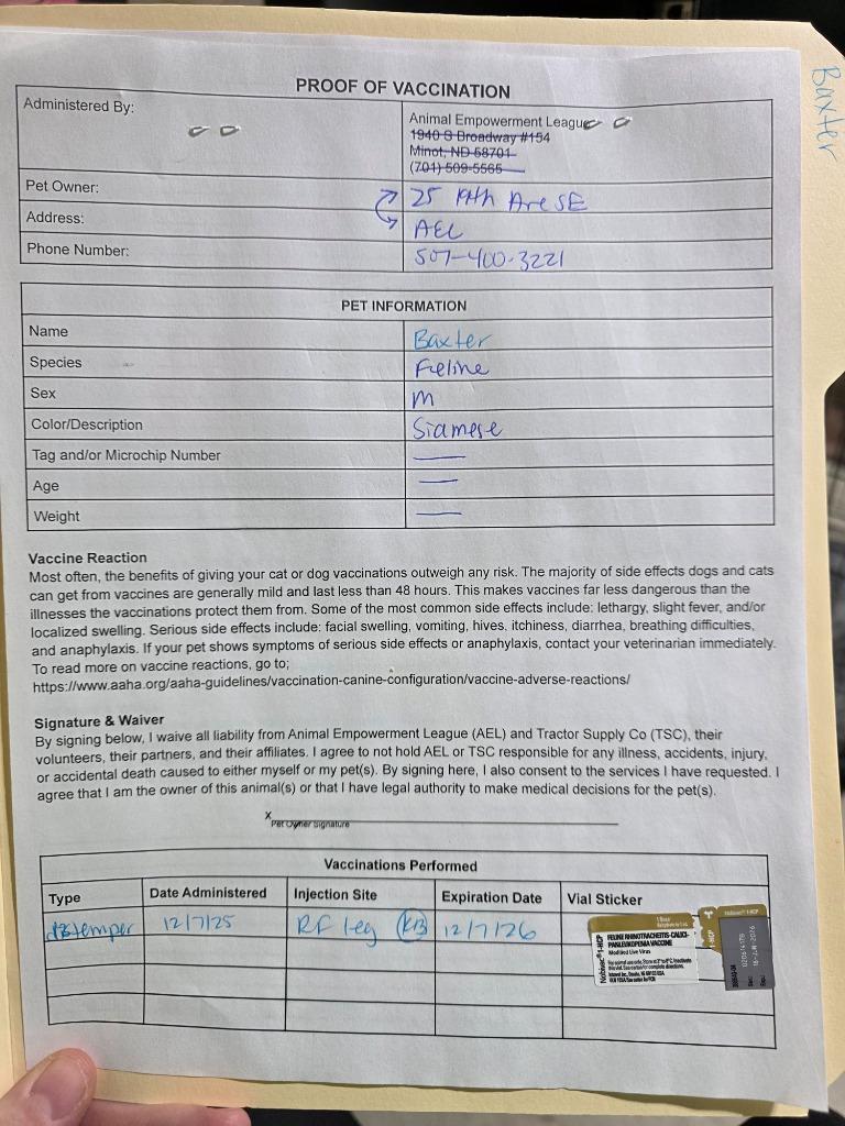 Baxter, a Adoptable mixed breed in Minot, ND image 2/6