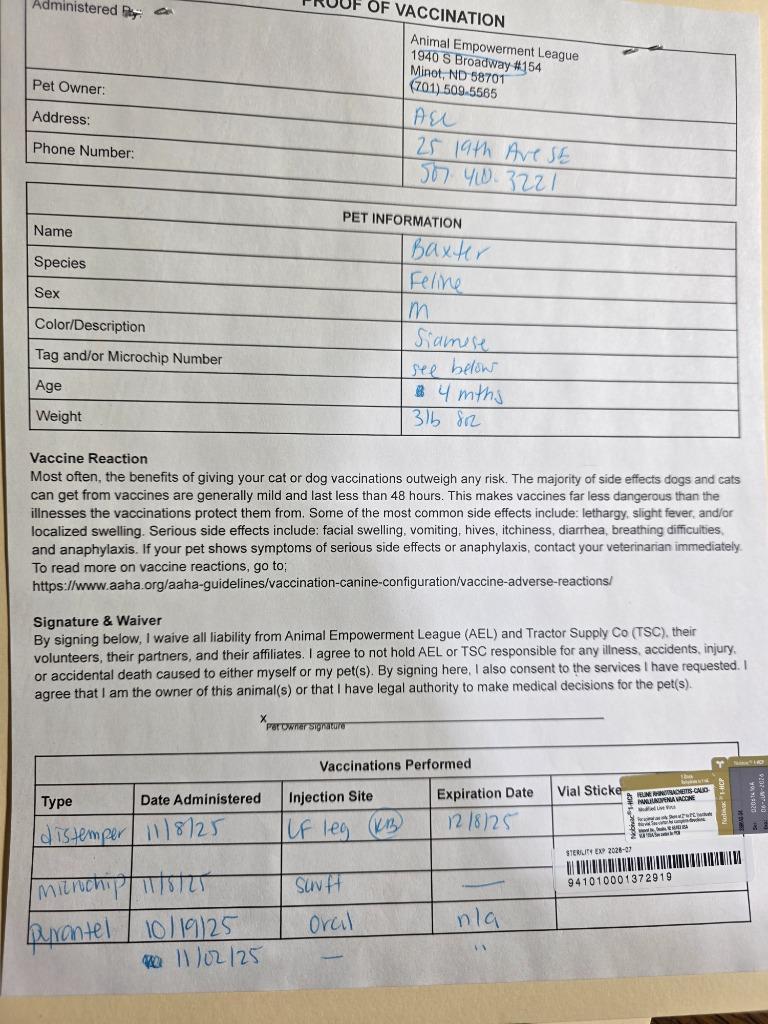 Baxter, a Adoptable mixed breed in Minot, ND image 4/6