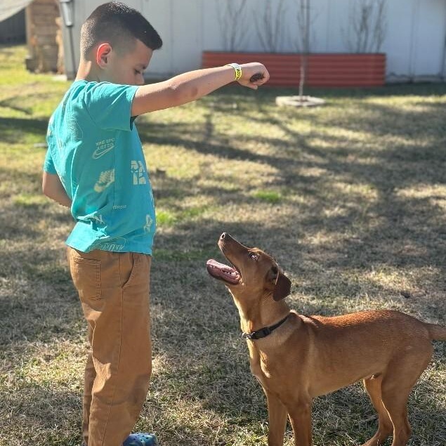 Satsuma Citrus — thumbnail 5