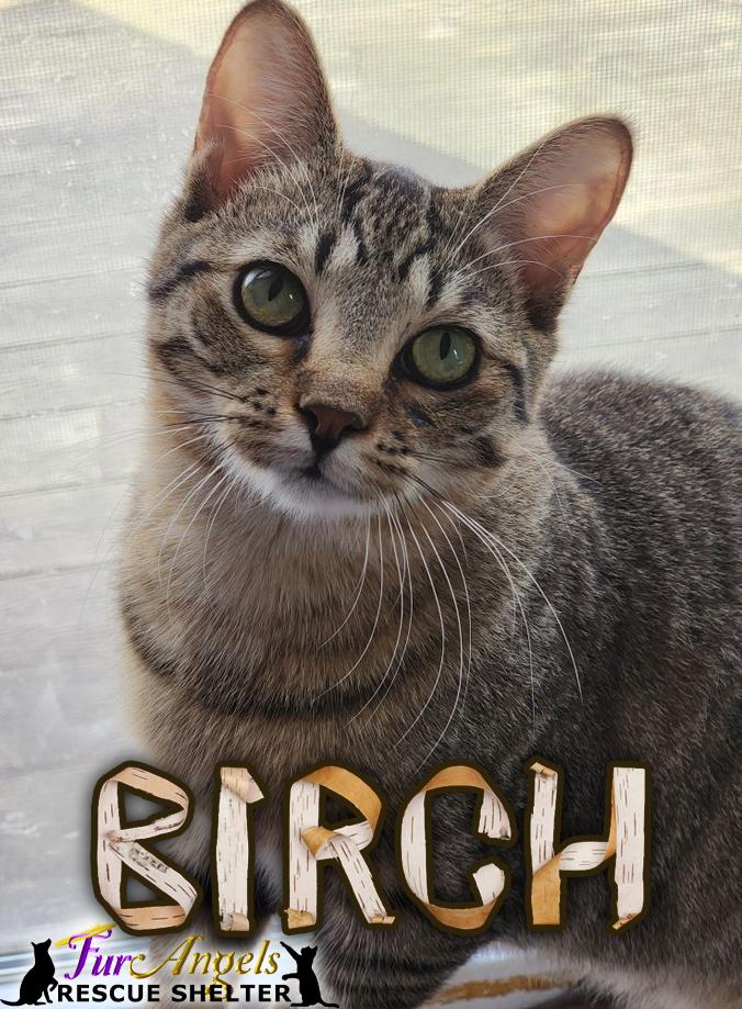 Birch & Little Richard