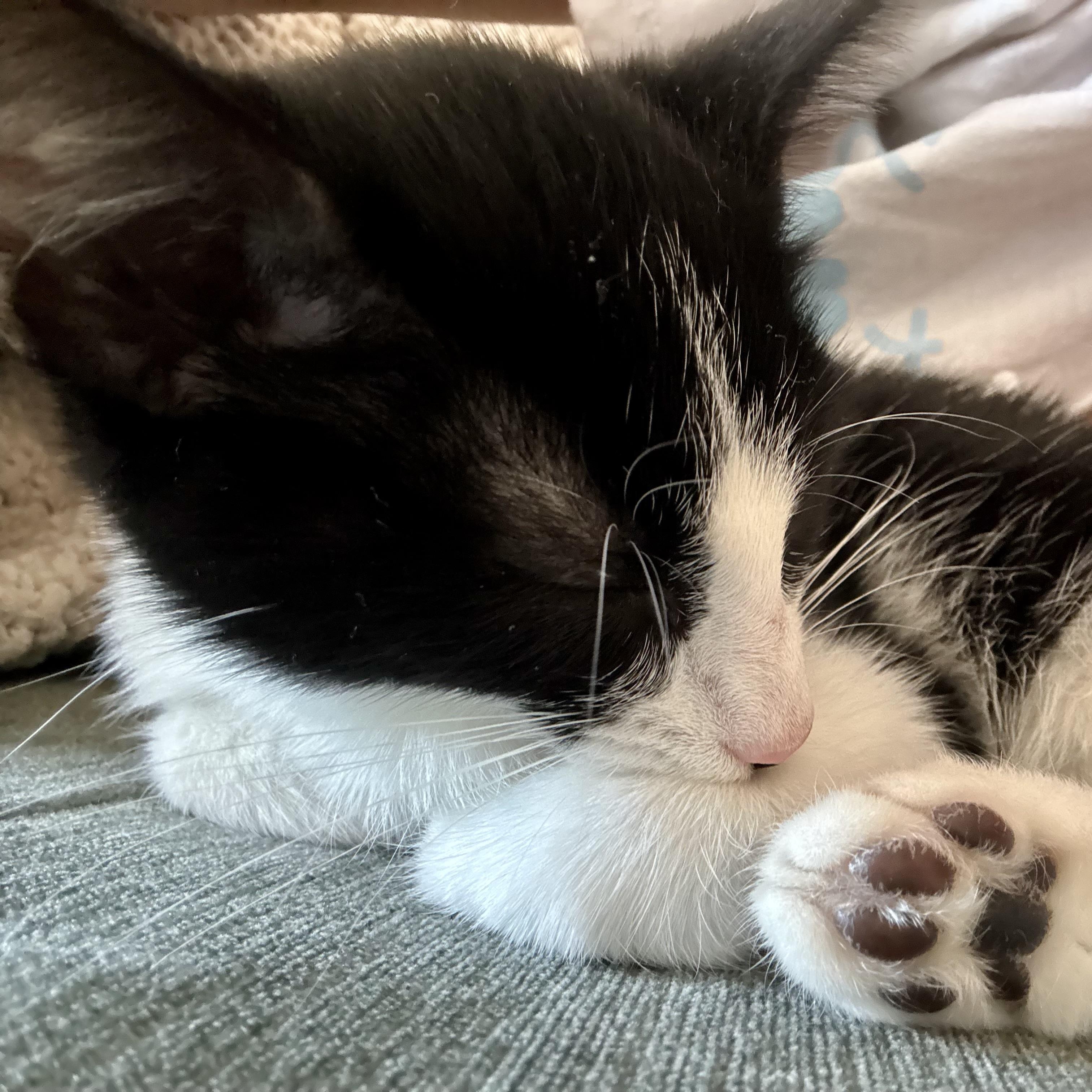 Double Happiness (AKA Happy)