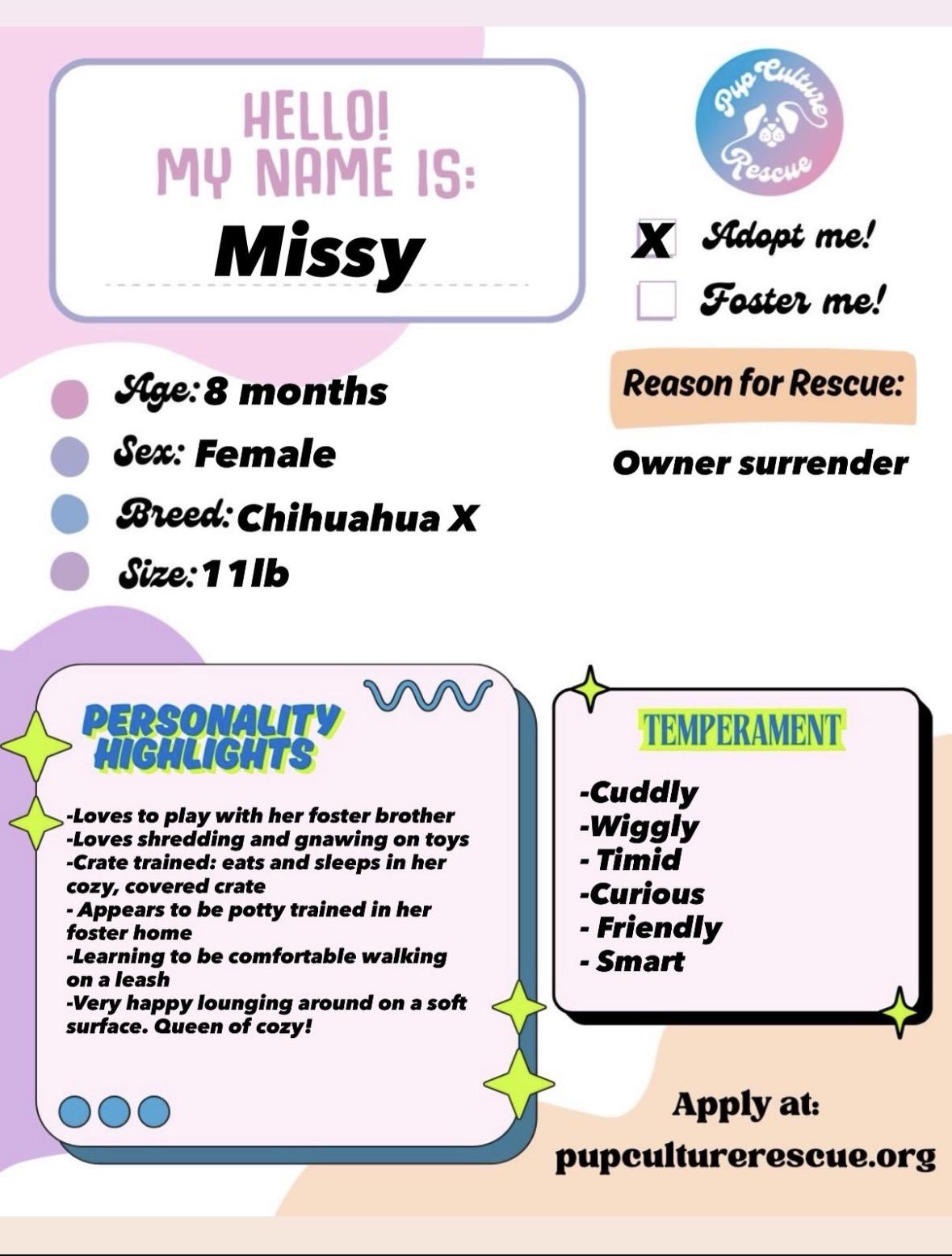 Enlarge Missy, a Adoptable mixed breed in Pasadena, CA image 2/6