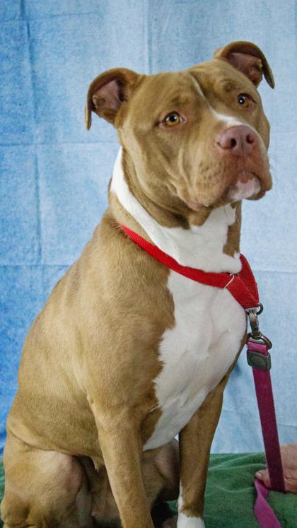 Flora — thumbnail 2