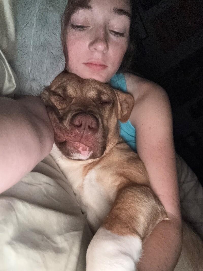 Alfie loves Dogs and Toys!