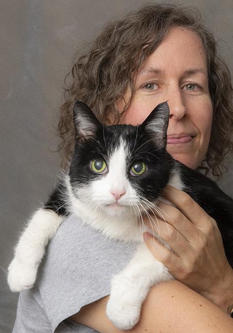 Zoe, a Adoptable Domestic Short Hair in Chicago, IL image 2/6