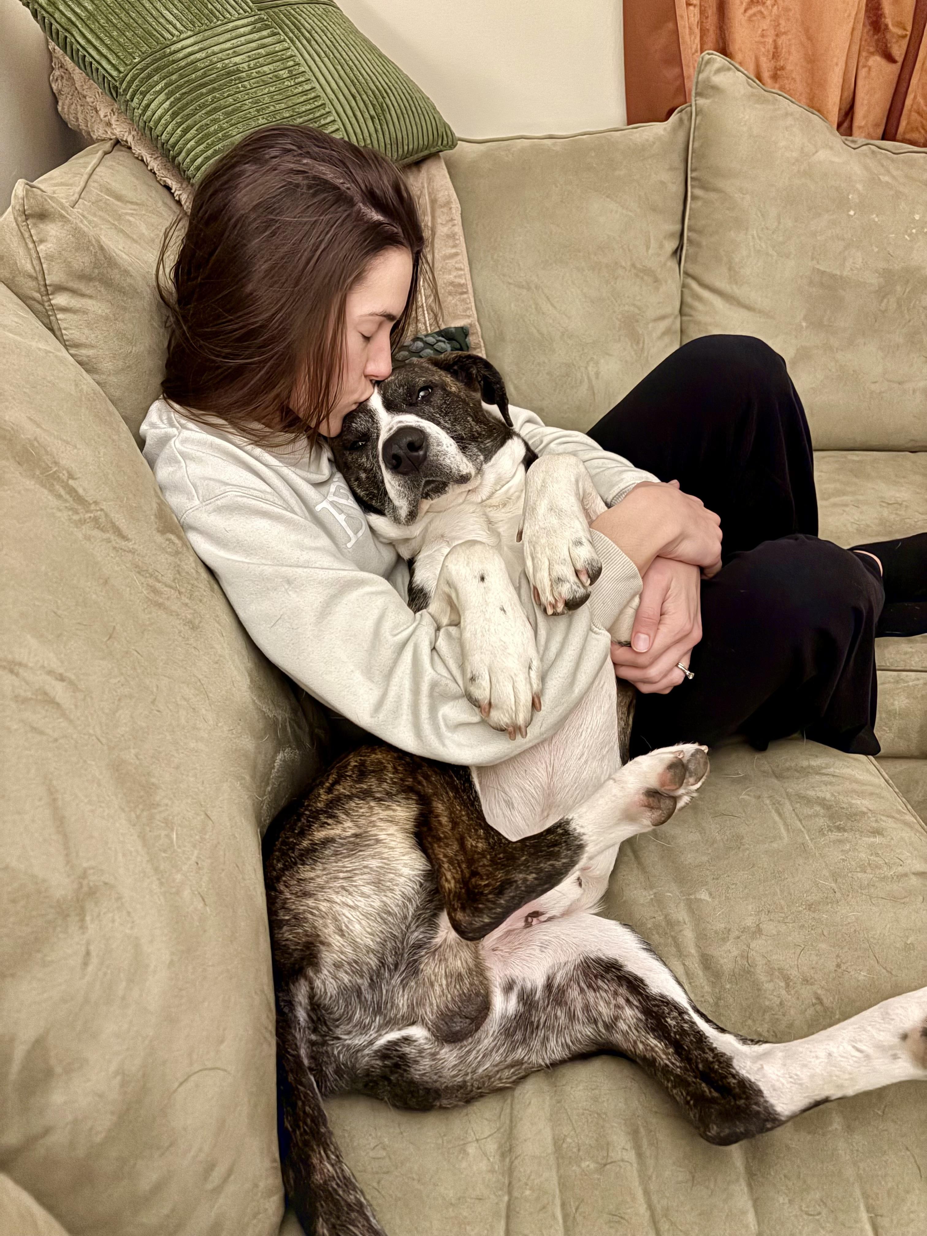Enlarge Buck, a Adoptable Mixed Breed in Argyle, NY image 4/6