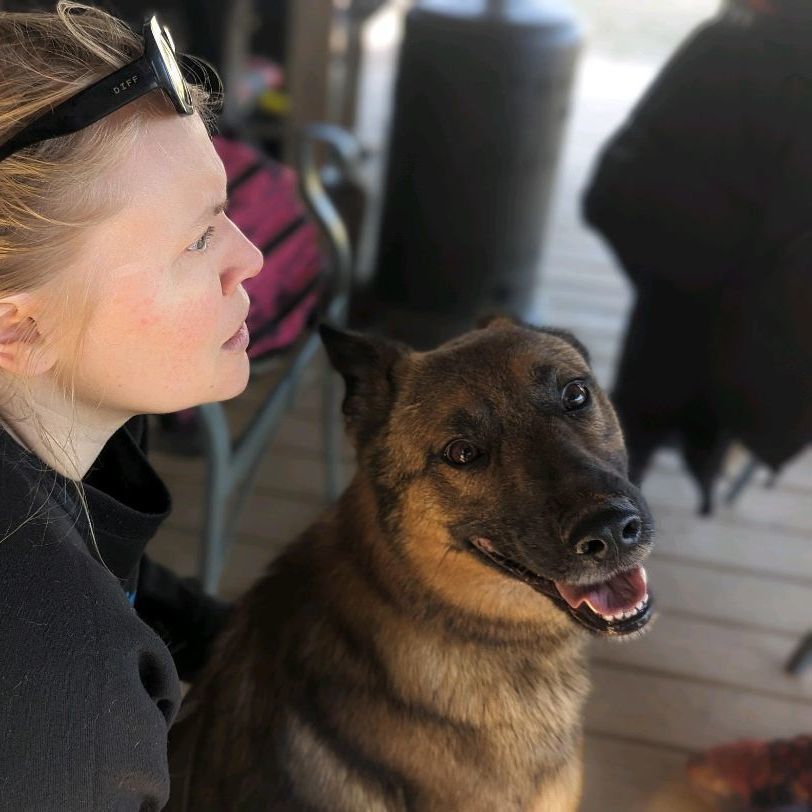 Clutch, a Adoptable mixed breed in Cumming, GA image 3/6