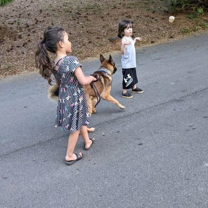 Clutch, a Adoptable mixed breed in Cumming, GA image 5/6