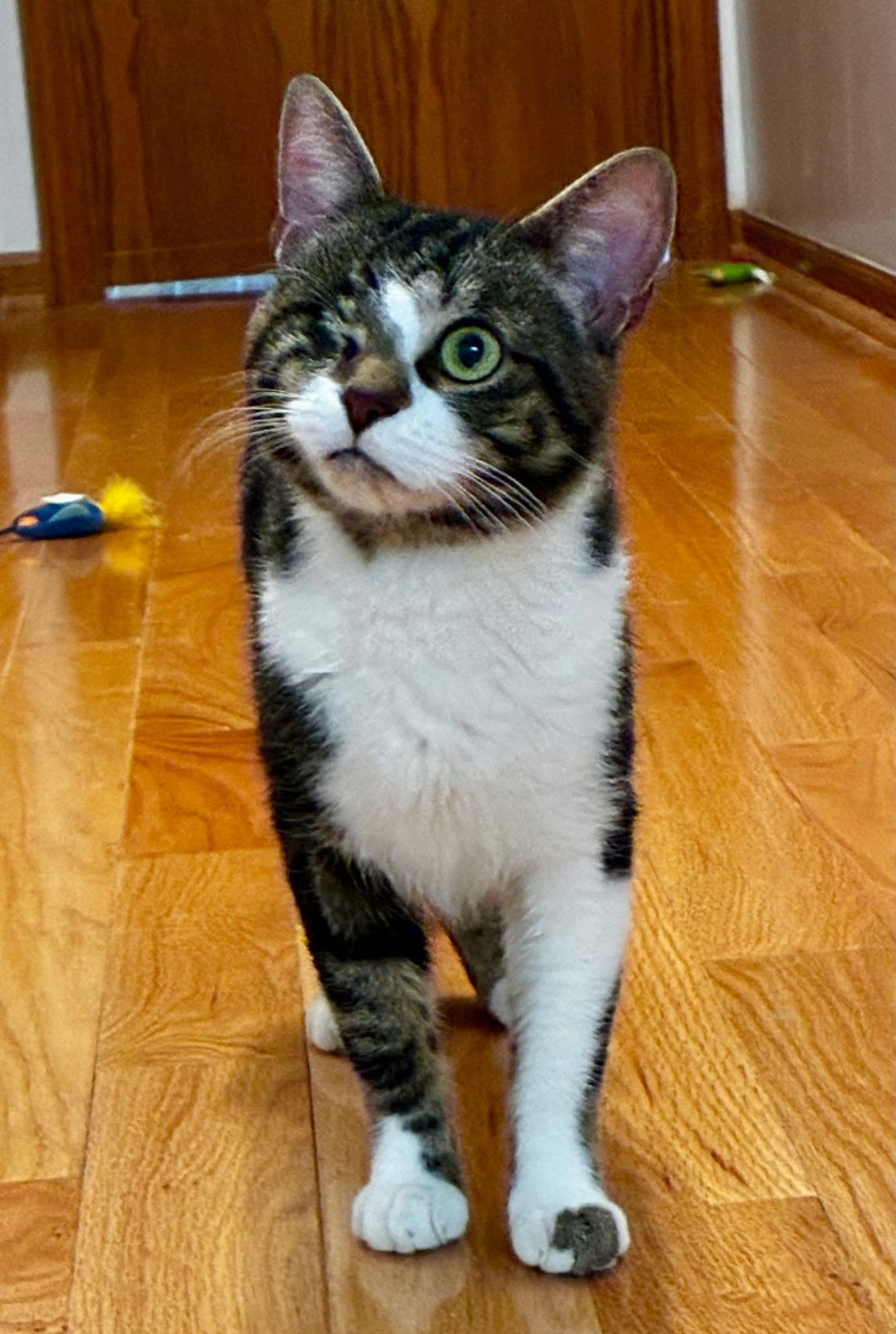 Gary