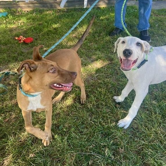 Jack BONDED with Jill