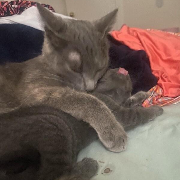 Moon River thumbnail 2