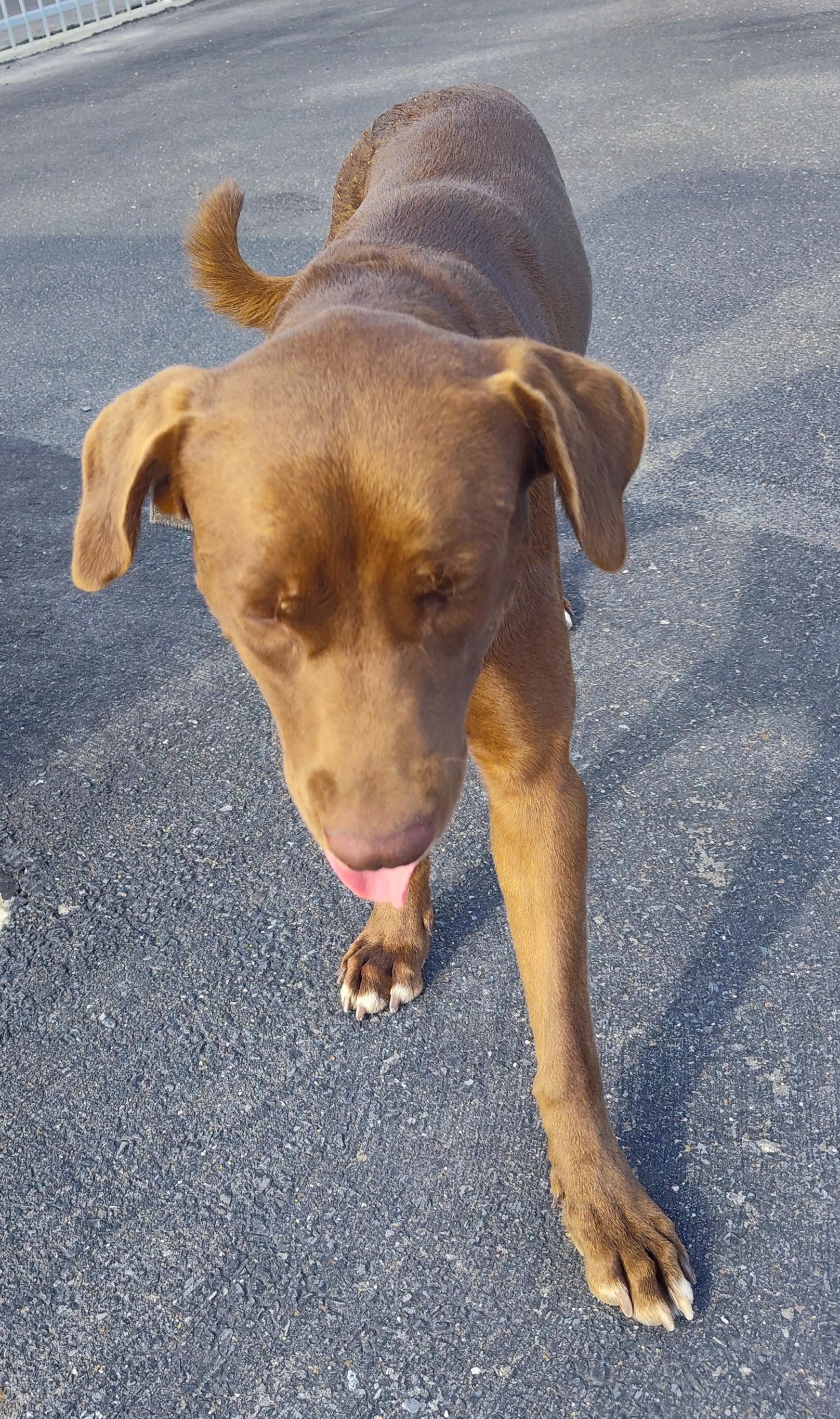 Jackie — thumbnail 3