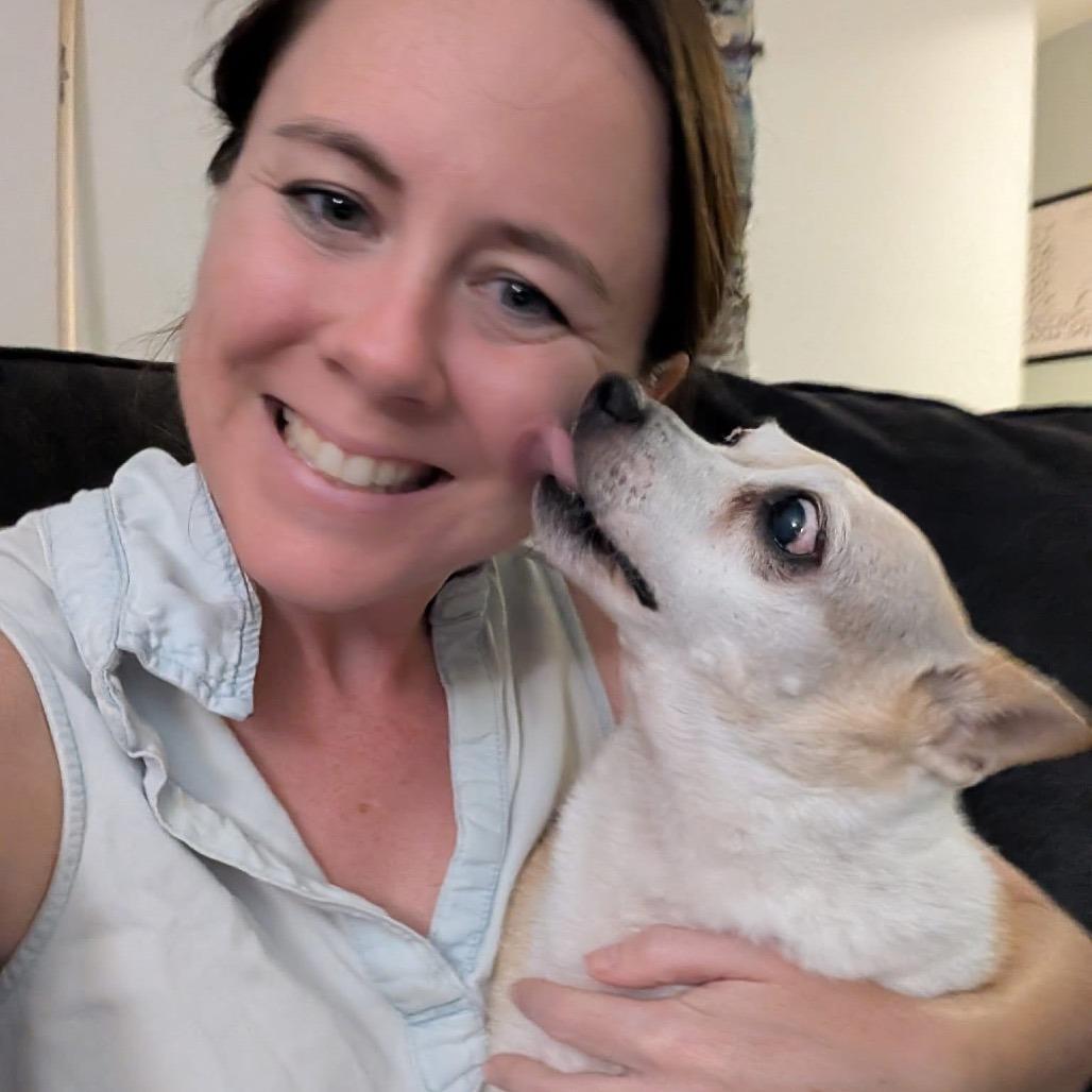 Lady Peach, a Adoptable Chihuahua in Ramona, CA image 1/6