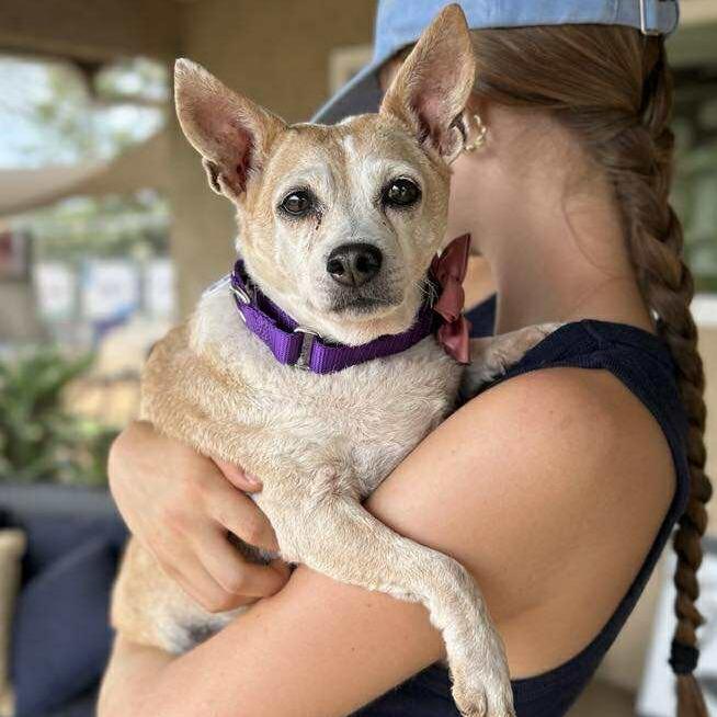 Lady Peach — thumbnail 3