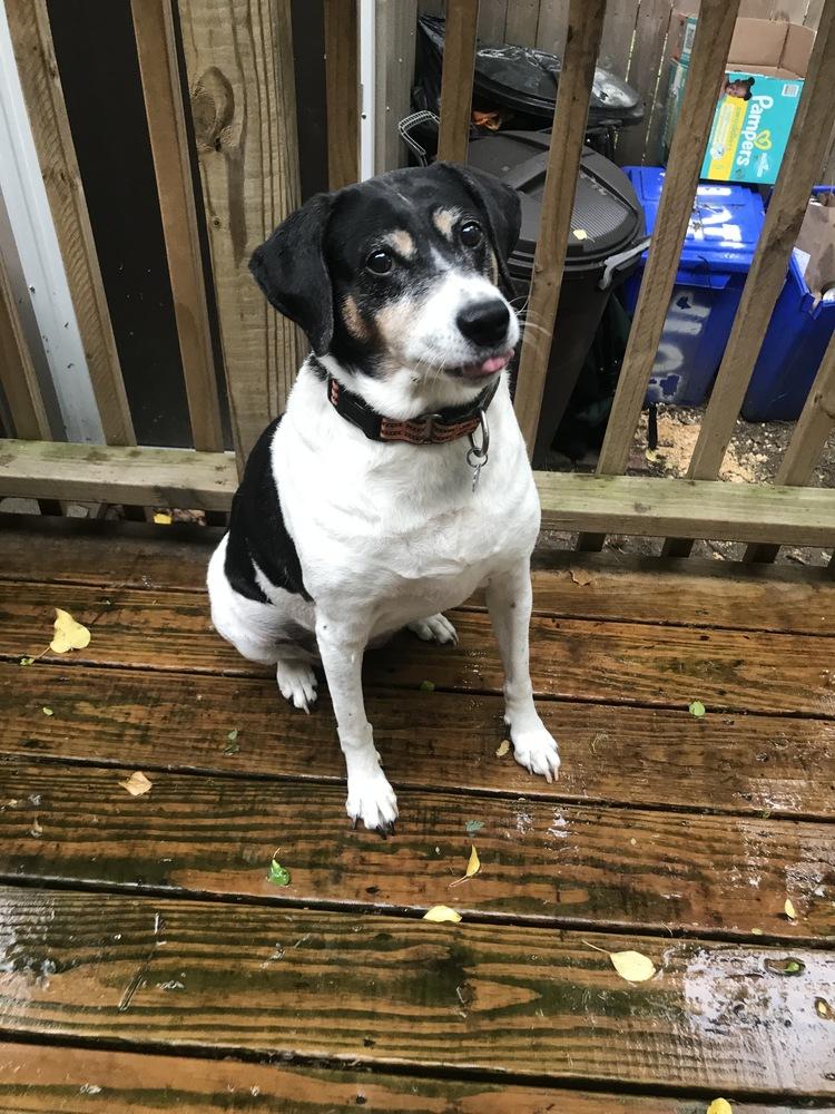 Bette aka Rabbit — thumbnail 4