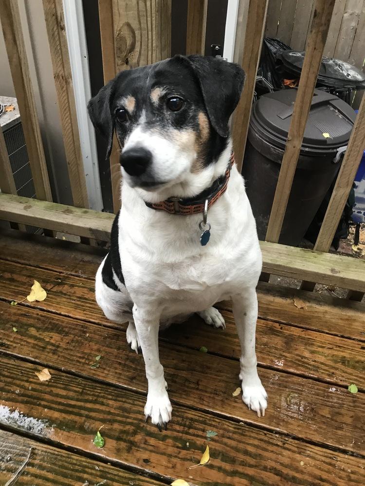 Bette aka Rabbit — thumbnail 5