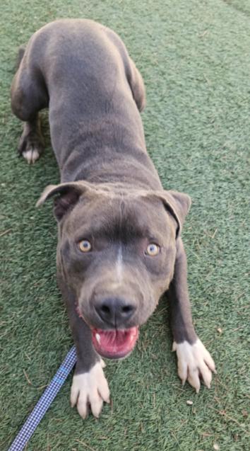 Mclovin Cuddles Comes with Extra Lovin