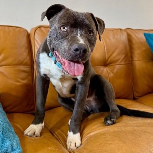 Mclovin Cuddles Comes with Extra Lovin — thumbnail 3