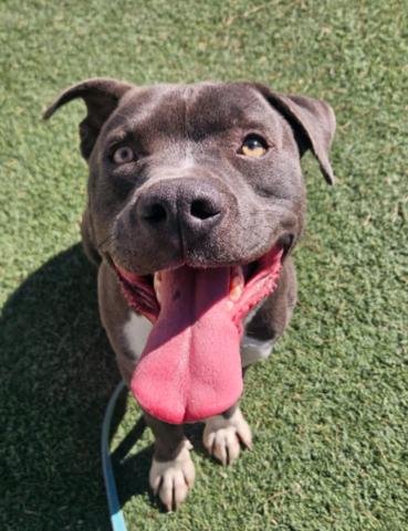 Mclovin Cuddles Comes with Extra Lovin — thumbnail 4