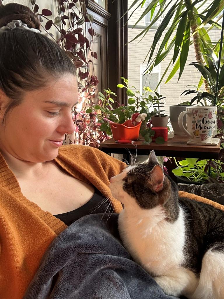 Enlarge Molly, a Adoptable mixed breed in Cumberland, ME image 1/3