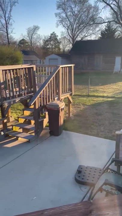 Enlarge Dixie Chick, a Adoptable mixed breed in Charlotte, NC video 4/4