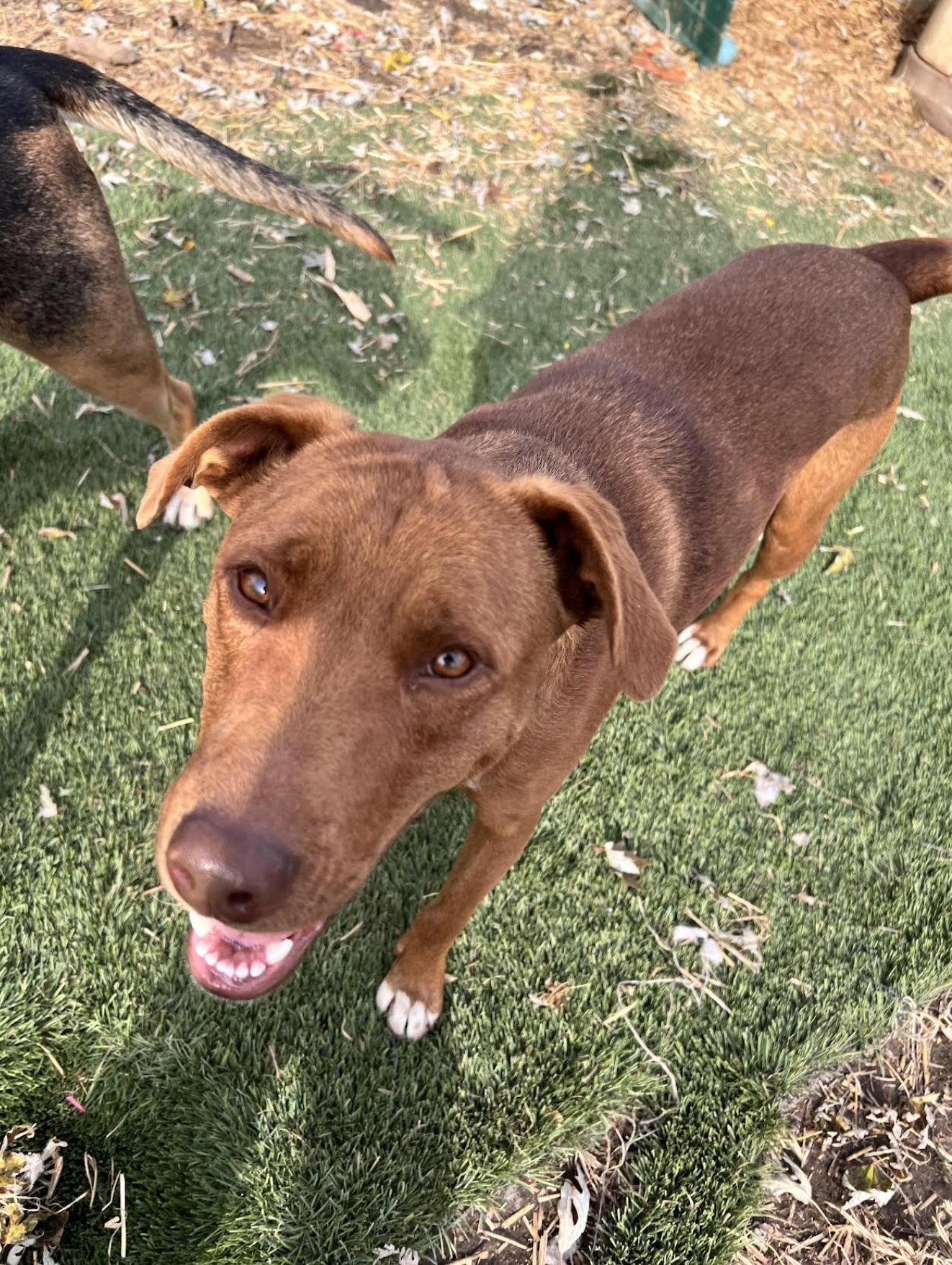 Caine Class — thumbnail 2