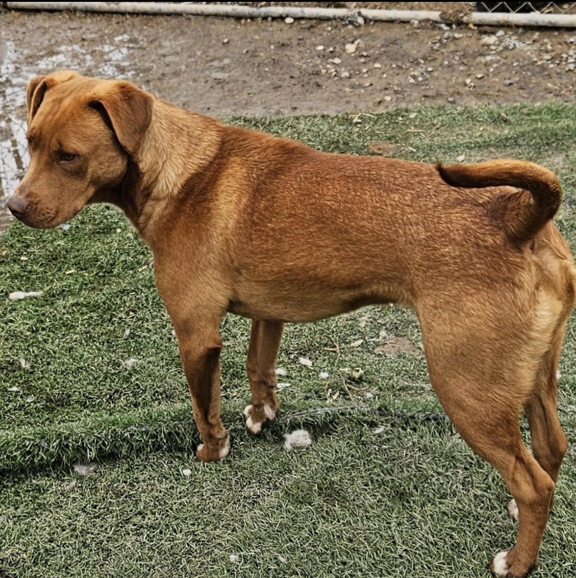 Caine Class — thumbnail 5