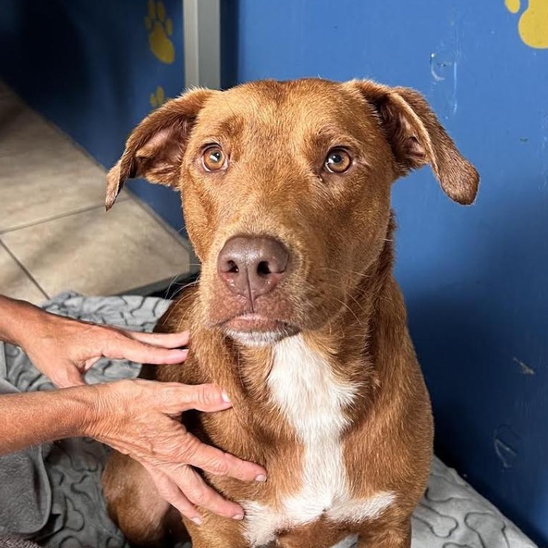 Caine Class — thumbnail 6