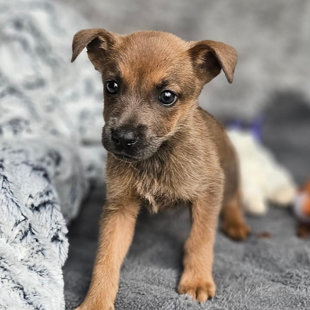 Janet — thumbnail 3