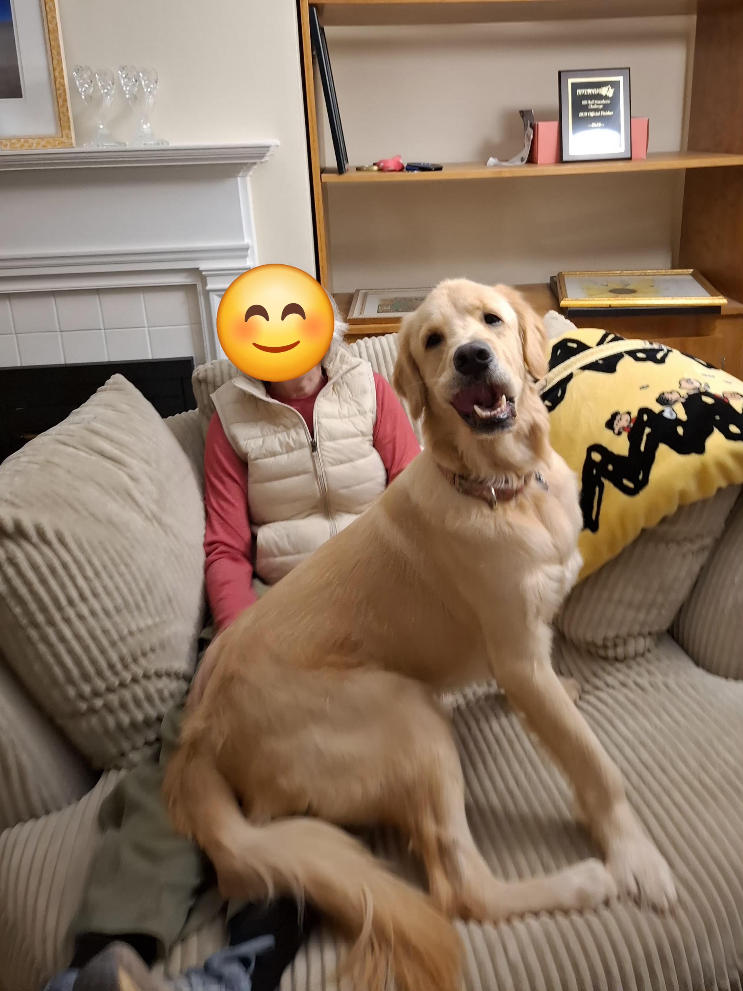 Enlarge TATER, a ADOPTABLE Golden Retriever in Stone Mountain, GA image 5/6