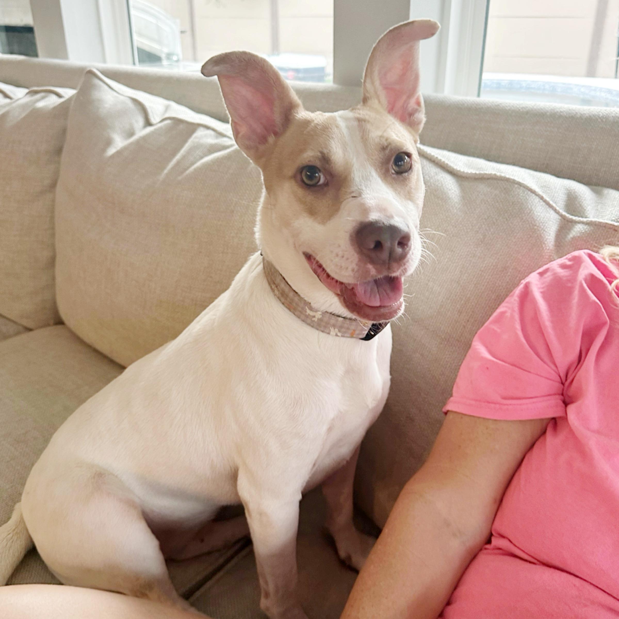 Ella — thumbnail 2