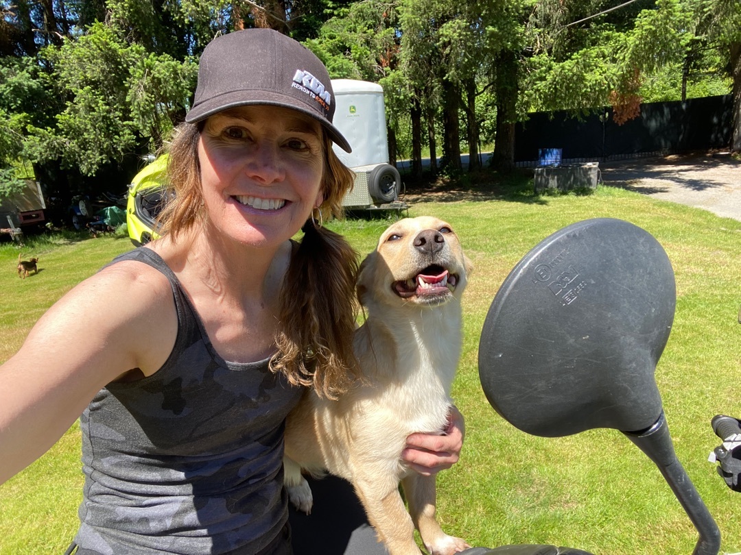 Enlarge Scarlett, a Adopted mixed breed in Langley, BC image 2/12